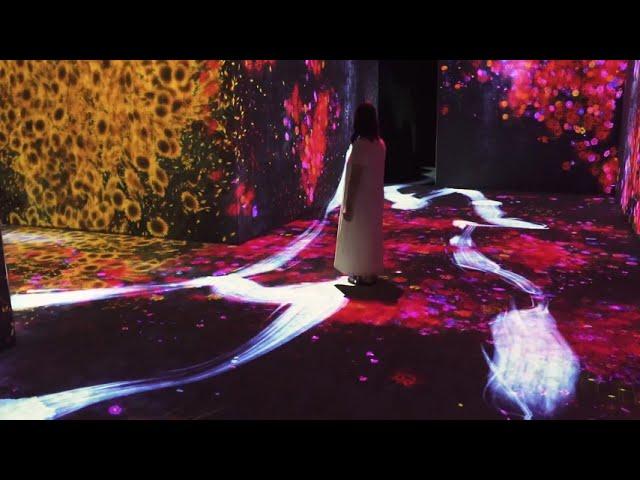 teamLab: Continuity at the Asian Art Museum