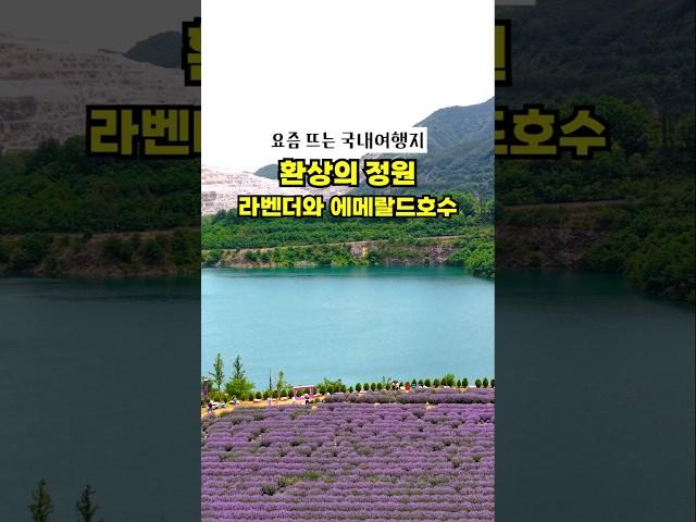 지금 놓치면 후회할 이국적인 풍경의 국내여행지, 라벤더 정원과 에메랄드 빛 호수를 만나러 가세요 #6월여행지추천 #국내여행내여행 #강원도여행  #동해가볼만한곳 #무릉별유천지