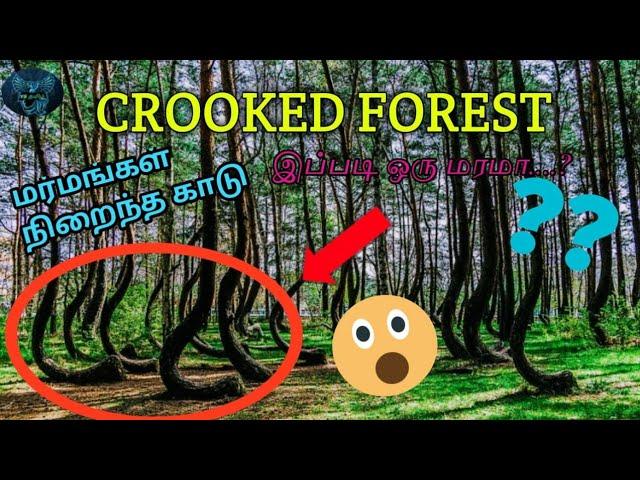Crooked forest  mystery  in Tamil