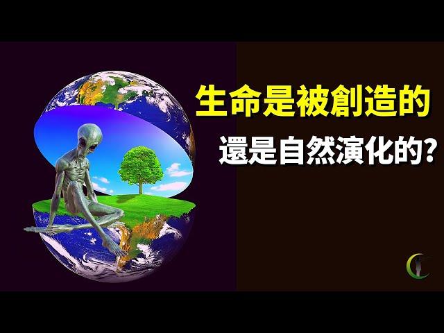 生命進化論和創造論之爭:生命是自然演化的還是被創造的 | 天天觀世界(探秘,宇宙文明,未解之謎,遺傳學,基因,達爾文,孟德爾,豌豆實驗,神創論)