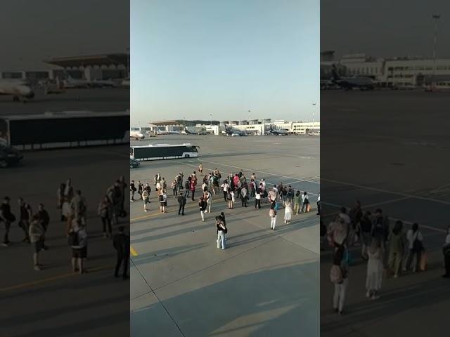 Аэропорт Домодедово