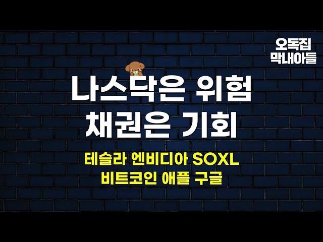 나스닥은 위험구간, 채권은 기회구간 (feat 테슬라 엔비디아 SOXL 비트코인 애플 구글)
