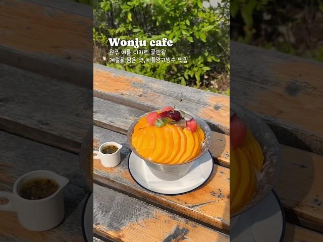 여름 디저트 끝판왕 빙수 맛집 애플망고빙수 맛집 #코코힐 #원주카페 #빙수맛집 #원주여행