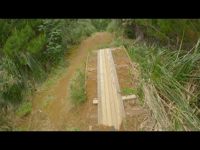 Whangamata Ridges   Over the Falls