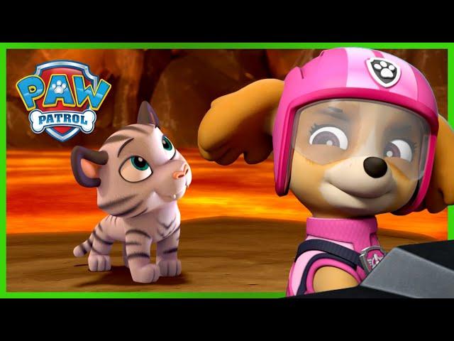 汪汪隊終極救援一起拯救困在火山的老虎寶寶！- PAW Patrol 汪汪隊立大功 - 兒童卡通