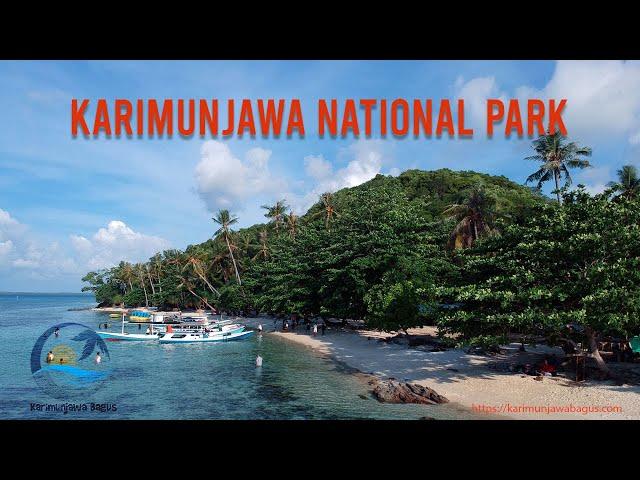 Karimunjawa National Park, Wisata Karimunjawa & Tour Karimunjawa Terbaik 2021