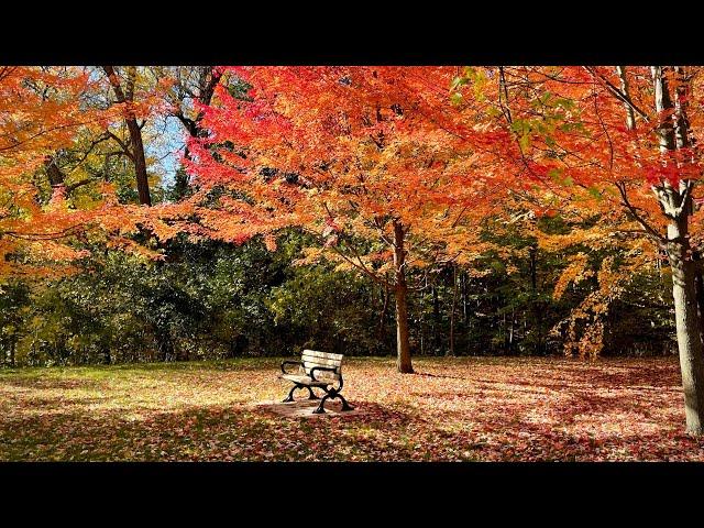 Toronto Parks in Fall