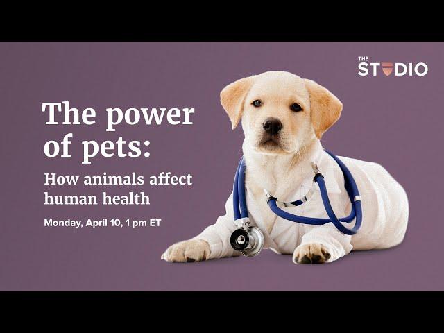 The power of pets: How animals affect human health