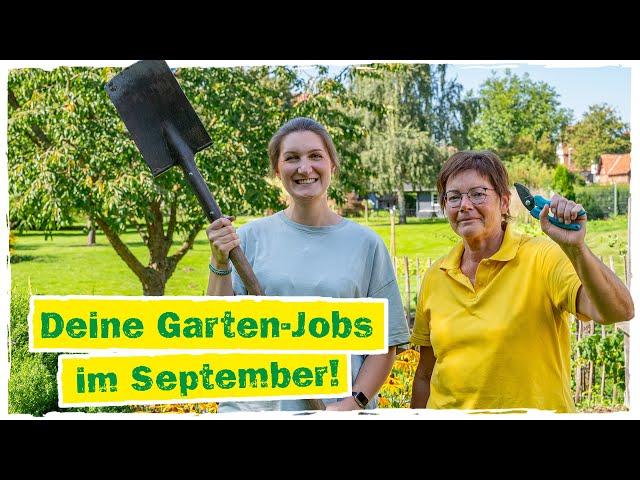 GARTENARBEIT IM SEPTEMBER: Diese 5 Dinge sind jetzt zu tun