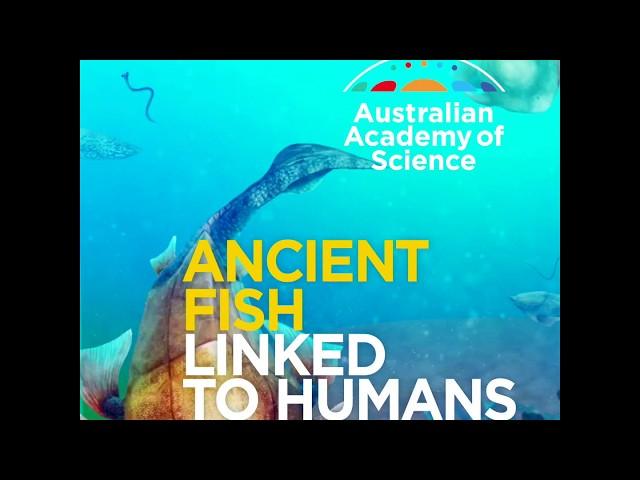 Ancient fish linked to humans