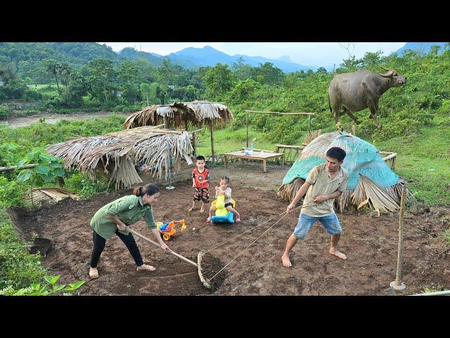 Làm nền, lập kế hoạch làm nhà mới. Thu hoạch quả roi (mận) đỏ đi chợ đầu tháng. Lý Tiểu Ánh.