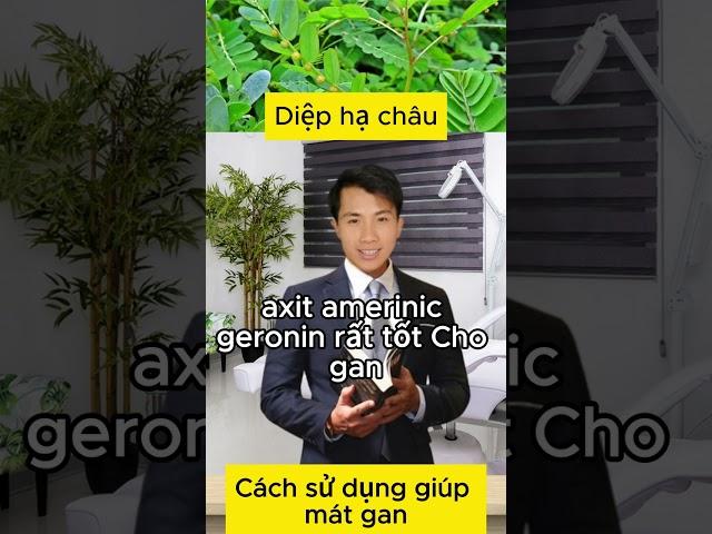 Cách uống Diệp hạ châu, Vị thuốc nam giúp mát gan, bổ gan  #suckhoe #caythuocnam #xuhuong