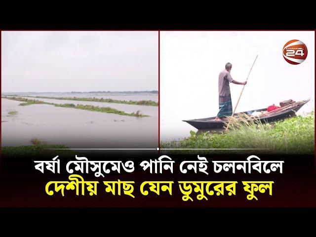 ভরা মৌসুমেও কাঙ্খিত পানি নেই চলনবিলে | Chalan Beel | Channel 24