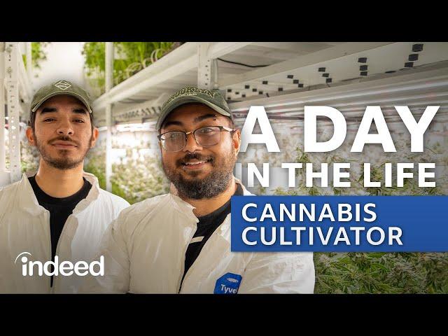 A Day in the Life: Cannabis Cultivation Technician | Indeed