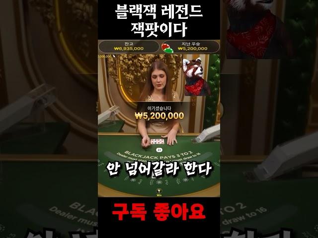 블랙잭 이게 레전드 잭팟이다 #블랙잭 #카지노 #바카라