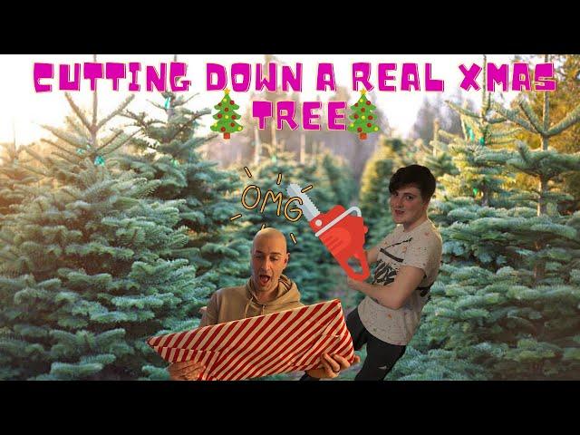 Cutting Down A Real Christmas Tree!