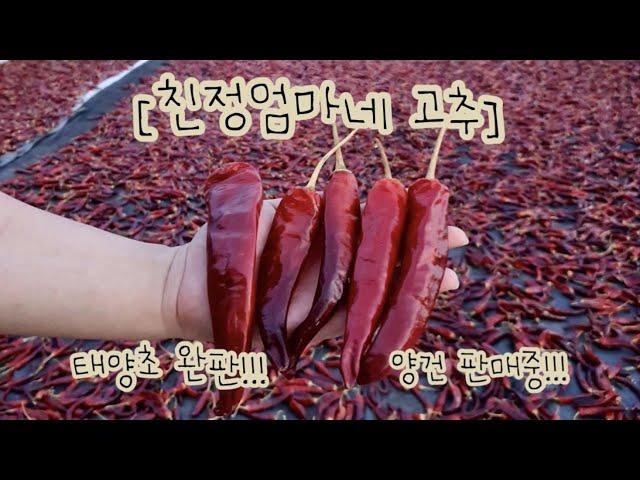 왐마 "건고추&고춧가루" 하믄 해남 땅끝 친정엄마네 고추랑께