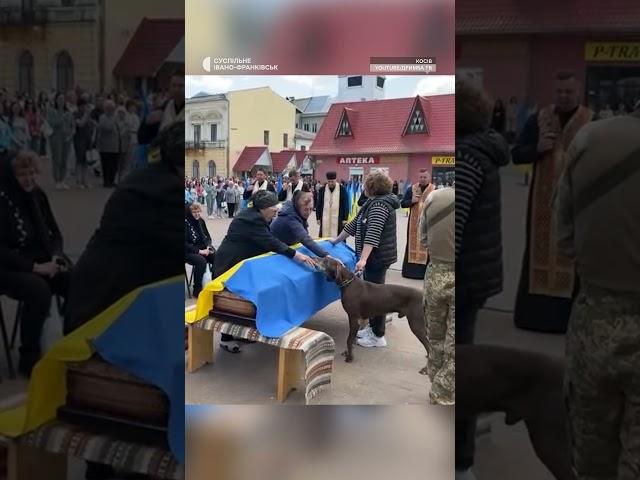 Пес Рем прощається зі своїм тренером і другом — військовим Сергієм Будзаном #війна #shortsyoutube