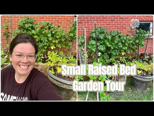 2024 Garden Tour || Small Raised Bed Garden || Grow What You Eat 🫛🫑