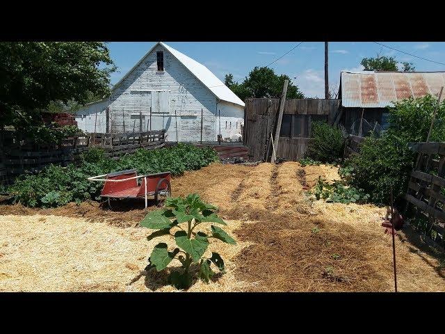 Homestead Garden Tour 2018