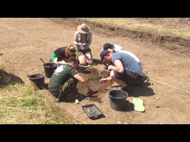 Archaeology: from Dig to Lab and Beyond - free online course at FutureLearn.com