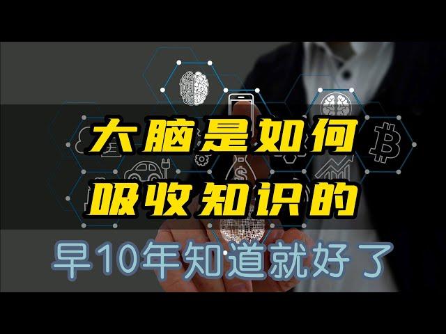 学习思维：大脑是如何吸收知识的？早10年知道就好了