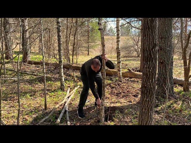 Строю лачугу в лесу | Летний лагерь | День 1й | Каркас | Building a summer camp in the forest