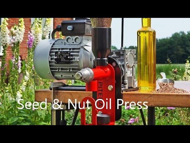 Professional high quality oil press for small scale oil production and kitchen machine for fresh oil