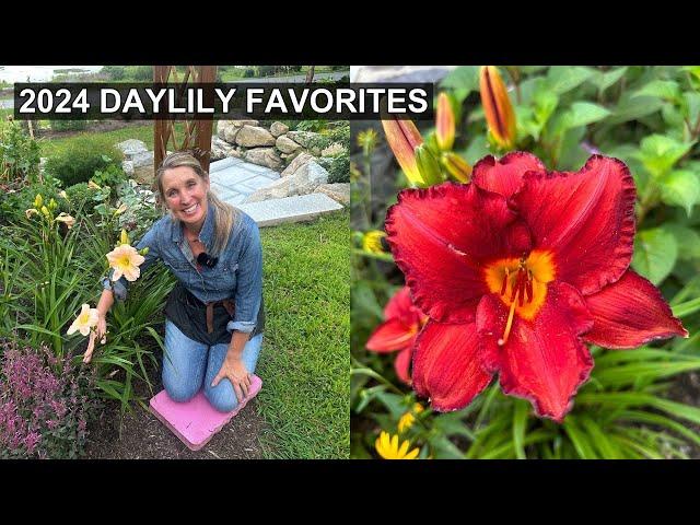 Daylily Favorites | Low Maintenance Perennial  