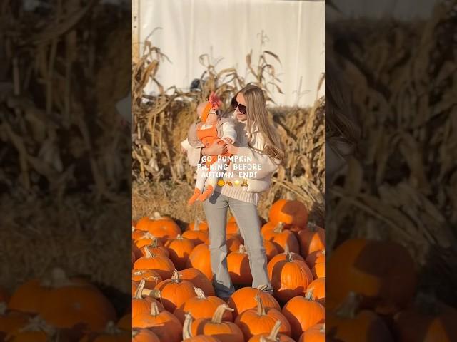 Your sign to go pumpkin picking! My sisters outfit #pumpkin #pumpkinpicking #autumn #fall