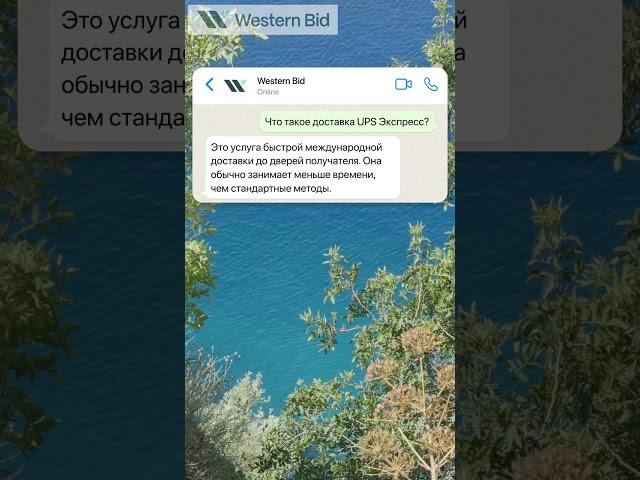 Быстрая международная доставка