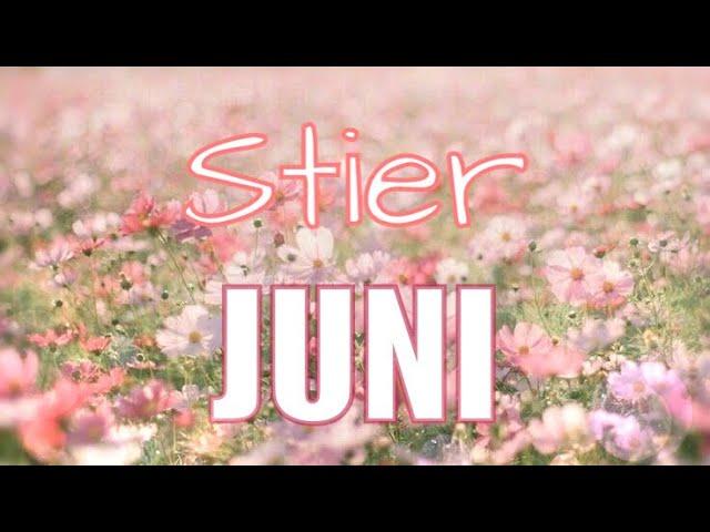 STIER JUNI Live bei Inspektor Columbo! Es bleibt spannend!‍️