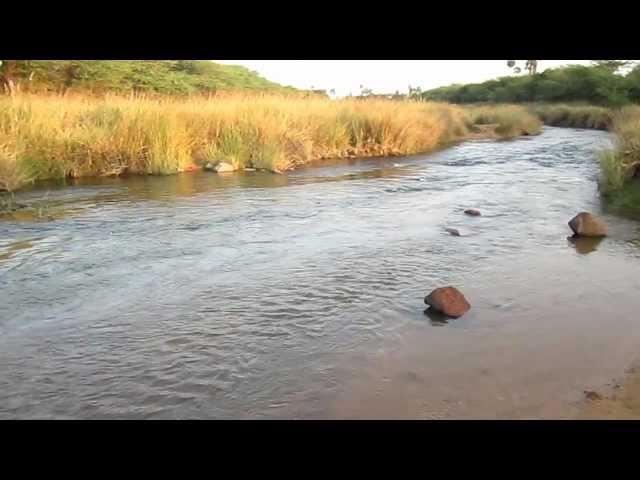 A stream near Talamanchi - Part 1/3