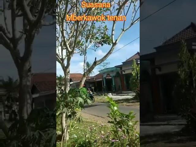 Ingat Waktu Kecil