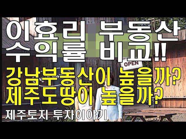 이효리부동산 매각 수익율비교-강남부동산이 높을까? 제주도땅이 높을까?