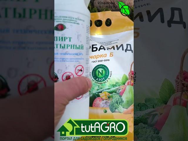 Вы переплачиваете в 7 раз за это удобрение! Дачная арифметика. Как покупать с умом.