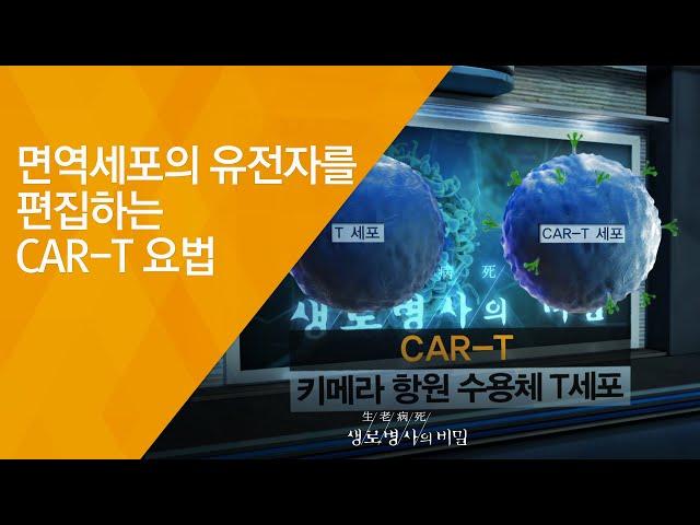 면역세포의 유전자를 편집하는 CAR-T 요법 - (20180808_658회 방송) 암과의 전쟁, 면역항암제의 도전