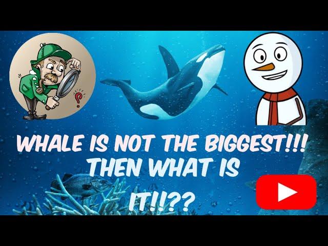 10 INTERESTING FACTS THAT WILL BLOW YOUR MIND!!! || Factanime ||