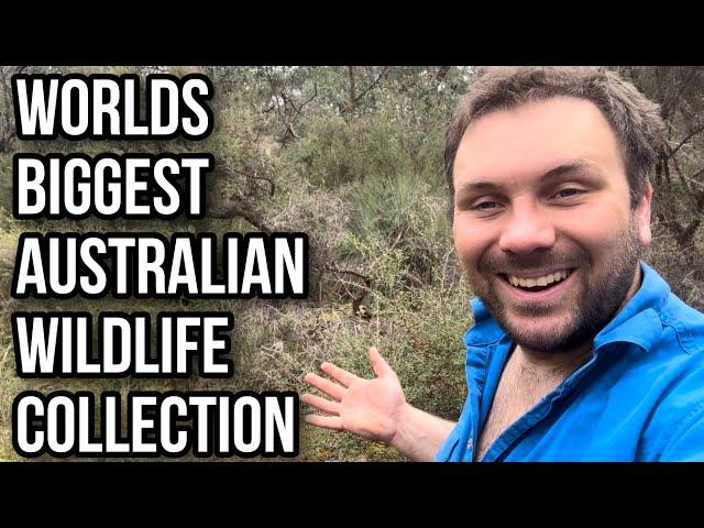 Featherdale Wildlife Park - Zoo Visit