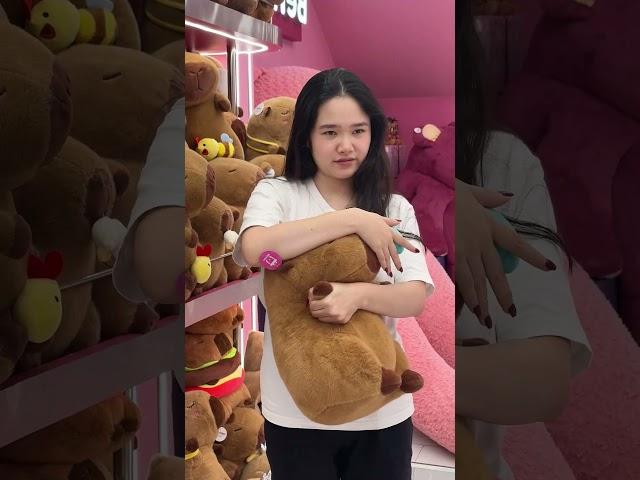 Value of life #bemorishow #shorts #capybara #teddybear