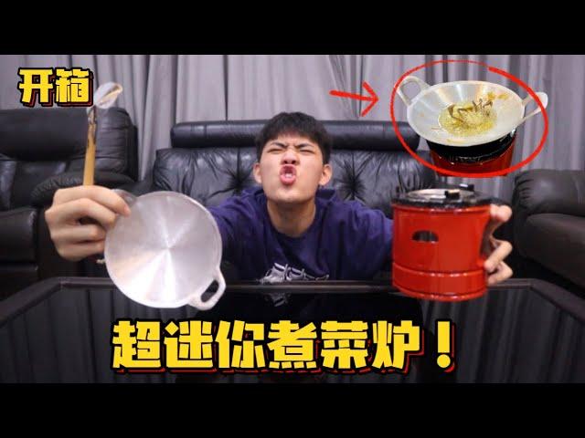 【开箱】超迷你煮菜炉……… 把活着的小螃蟹炸了………..