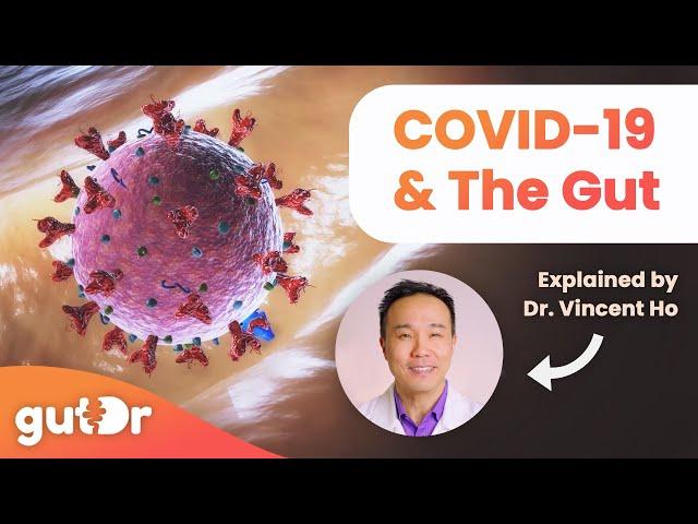 How COVID-19 Affects Your Gut | The GutDr Explains (3D Gut Animation)