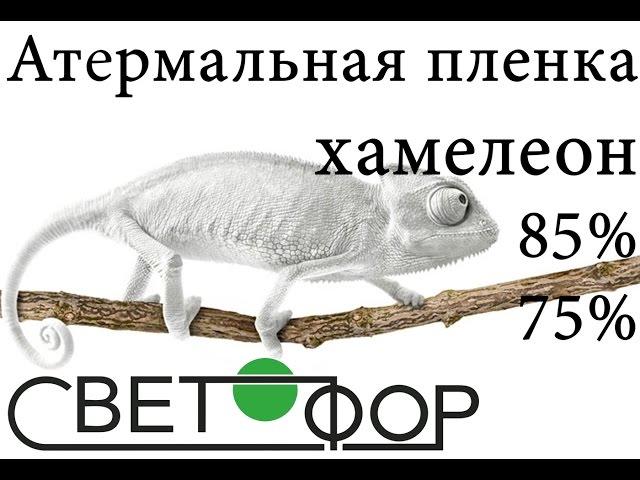 Hameleon New - тонировка авто