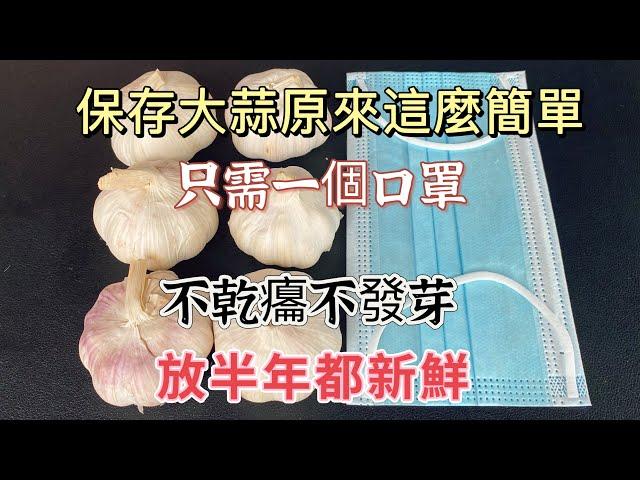 Easy Garlic Storage: Just 1 Mask, Fresh for 6 Months! 大蒜保存技巧：口罩妙用！！にんにく保存法：マスク活用！ 마늘 보관법: 마스크 활용!