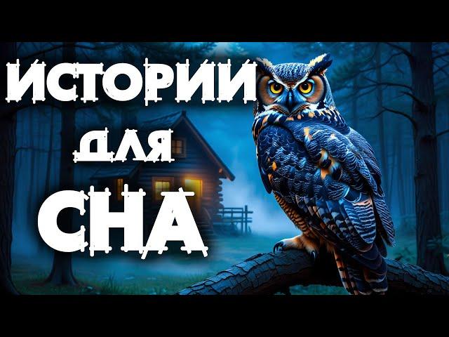 Страшные истории на ночь под дождь | Расслабление и сон, ЧАСТЬ 42
