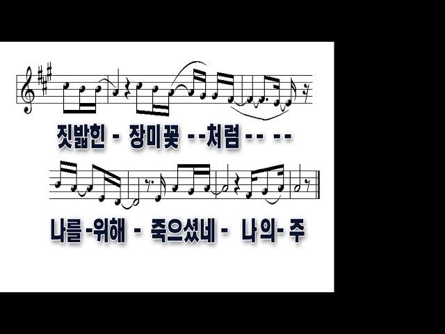 청주대농교회  주일2부예배 실황