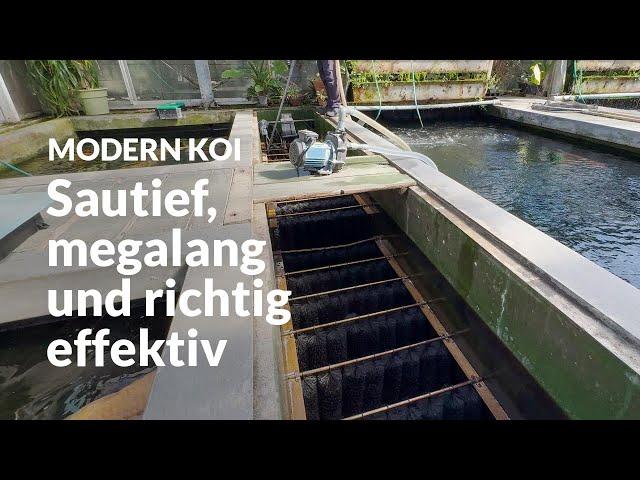 So sind Konishis Bürstenfilter im Glashaus aufgebaut | Modern Koi Blog #6983