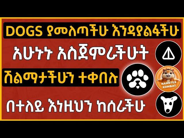 DOGS አምልጧችሁ ይህን ካልሰራችሁ ተሸውዳችኋል | The Next DOGS | Make Money Online By Using Telegram