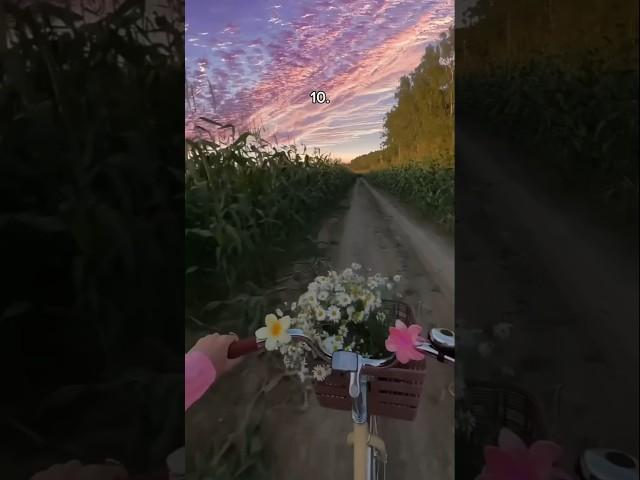 Where would you ride? #aesthetic #aurora #relaxing #vibes #asmr