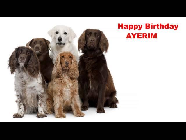 Ayerim - Dogs Perros - Happy Birthday